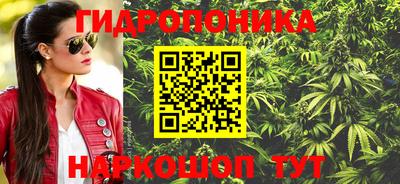дживик Берёзовский