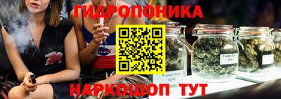 дживик Берёзовский