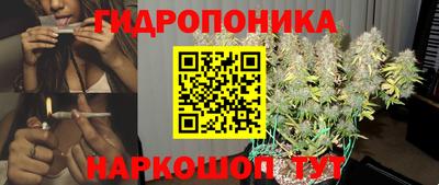 дживик Берёзовский