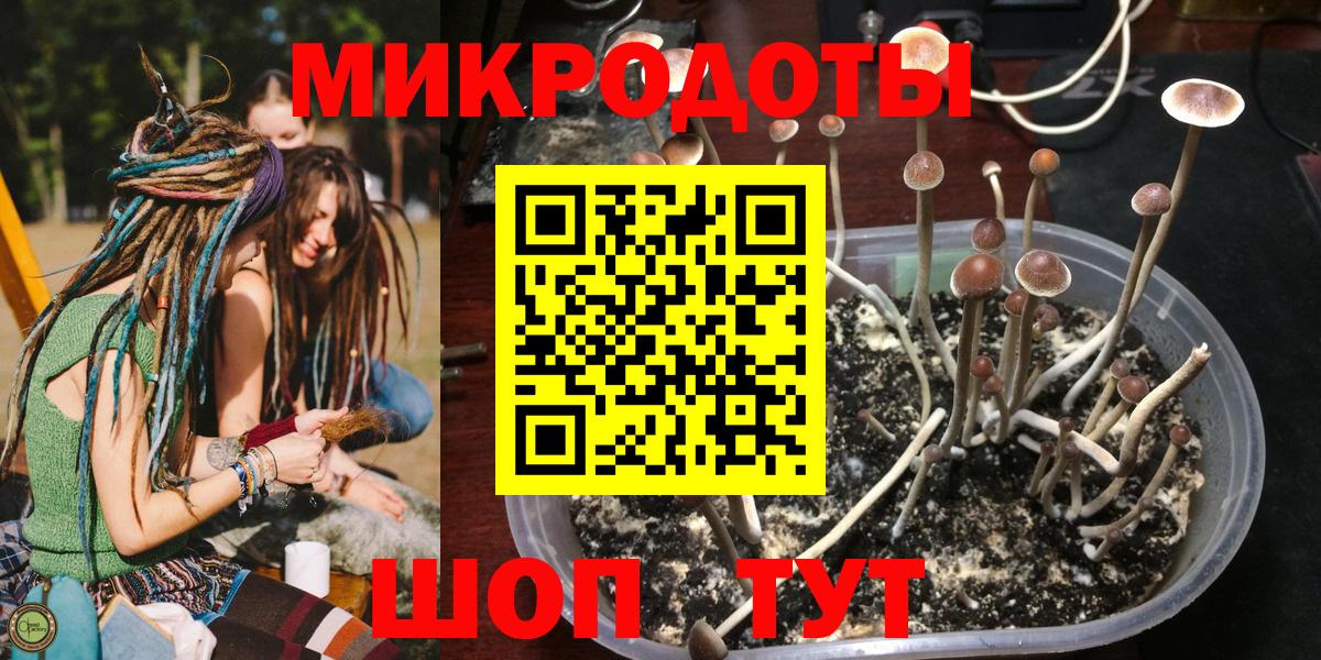 Галлюциногенные грибы ЛСД  Псилоцибиновые грибы Cubensis  Вход с VPN  Кольчугино 