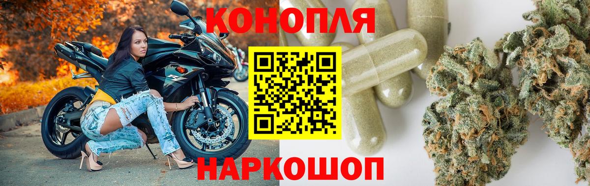 Марихуана сатива Кольчугино